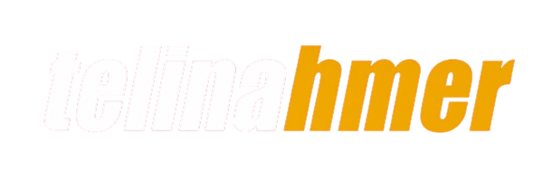 telinahmer.de